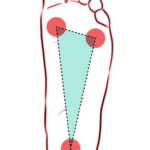 Triangle of the Foot Diagram